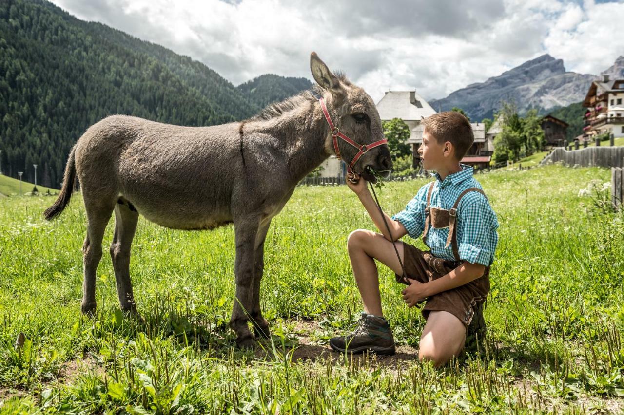 Natur Luch Sossach La Villa (Trentino Alto Adige) Exterior foto