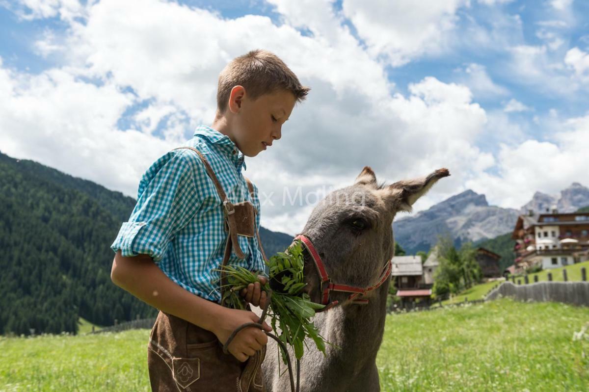 Natur Luch Sossach La Villa (Trentino Alto Adige) Exterior foto